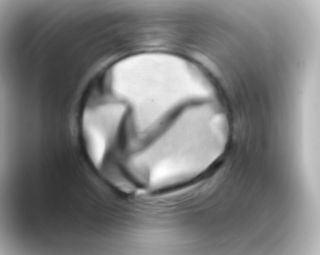 X0000088721458200706212012