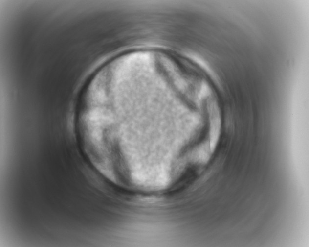 X0000088721460200706212012