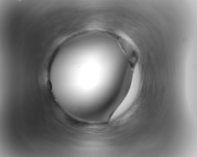 X0000088721461200706212012