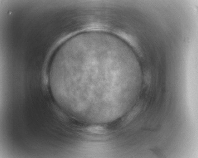 X0000088721462200706212012