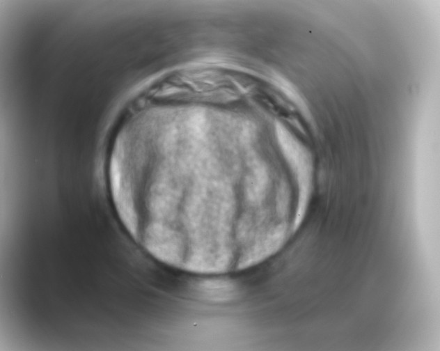 X0000088721464200706212012