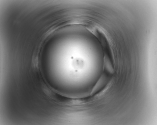 X0000088721465200706212012