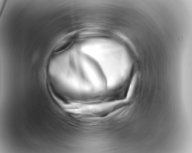 X0000088721467200706212012