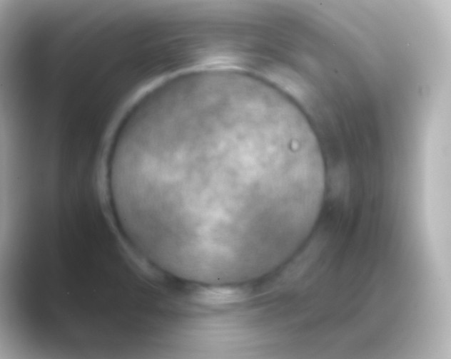 X0000088721470200706212012