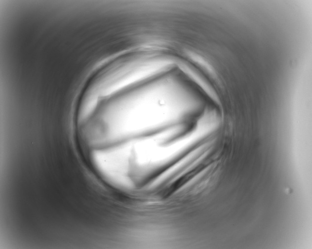 X0000088721471200706212012