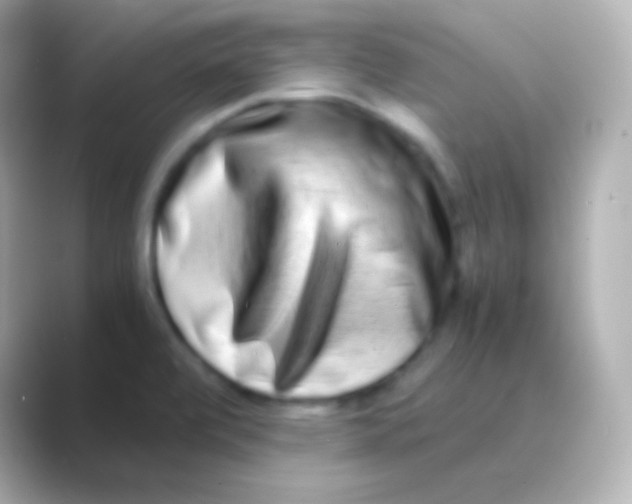 X0000088721472200706212012