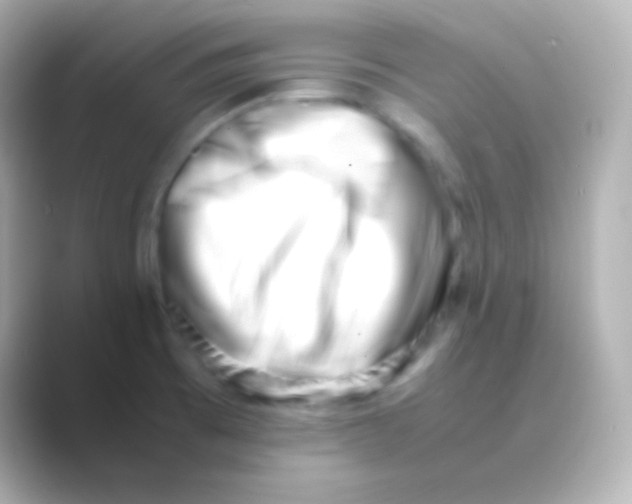 X0000088721473200706212012