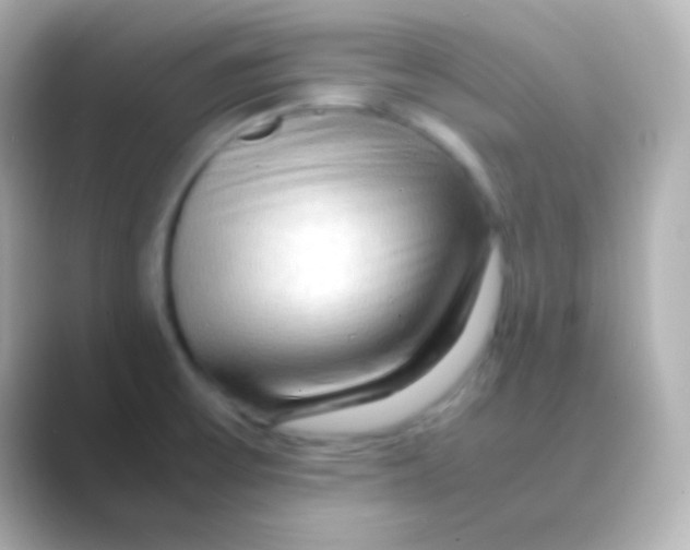 X0000088721475200706212012