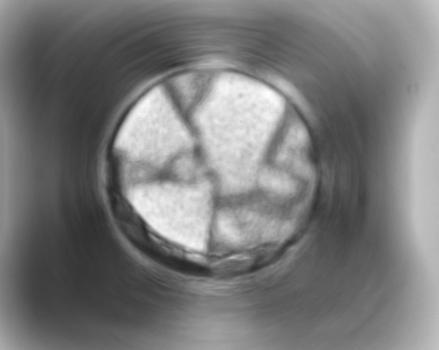 X0000088721476200706212012