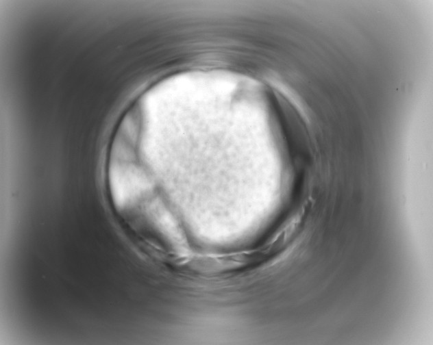 X0000088721477200706212012