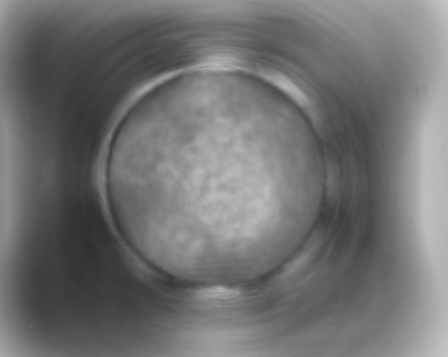 X0000088721478200706212012