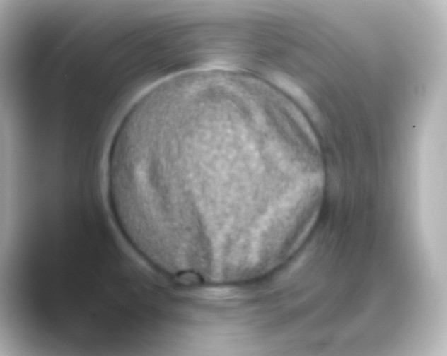 X0000088721479200706212012