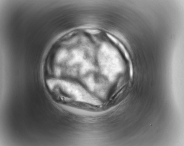 X0000088721480200706212012