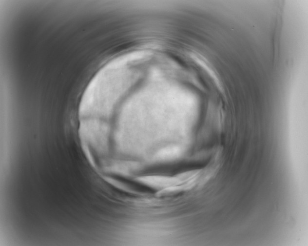 X0000088721481200706212012