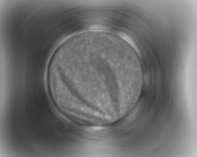 X0000088721482200706212012