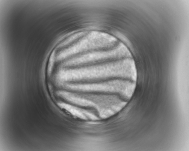 X0000088721483200706212012