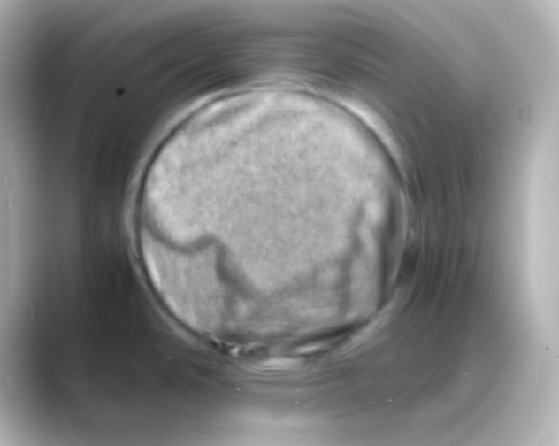 X0000088721486200706212012