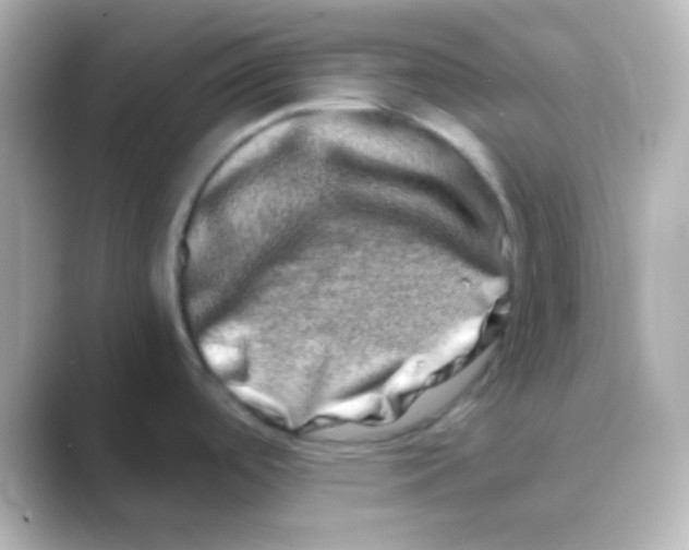 X0000088721488200706212012