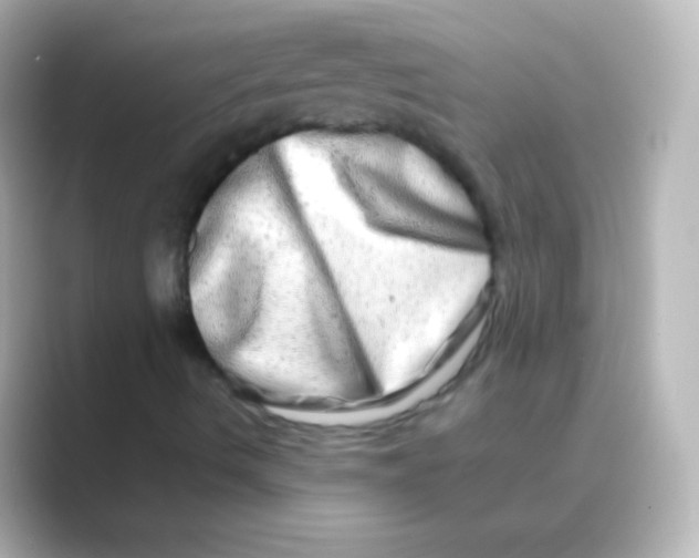 X0000088721490200706212011