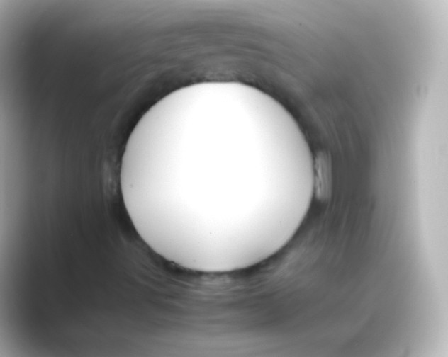 X0000088721491200706212011