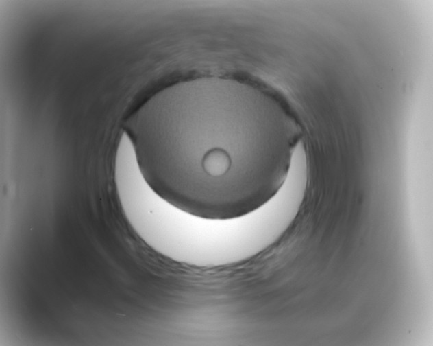 X0000088721492200706212011