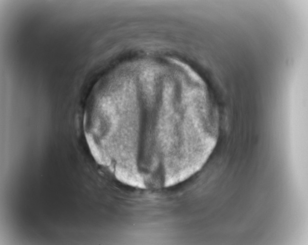 X0000088721493200706212011