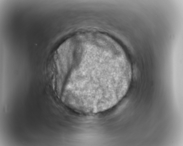 X0000088721494200706212011