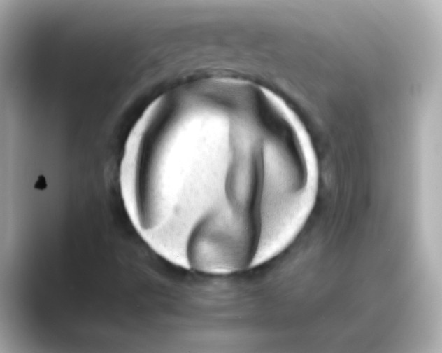 X0000088721495200706212011