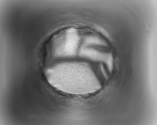 X0000088721496200706212011