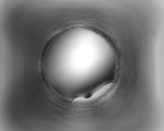 X0000088721497200706212011