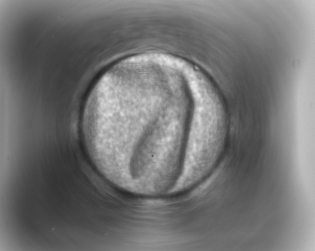 X0000088721499200706212011