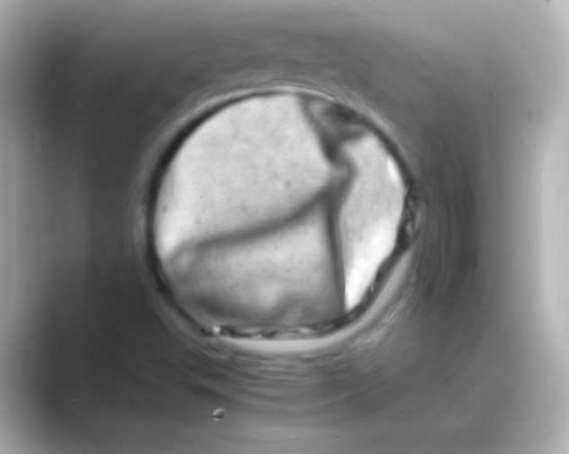 X0000088721503200706212011