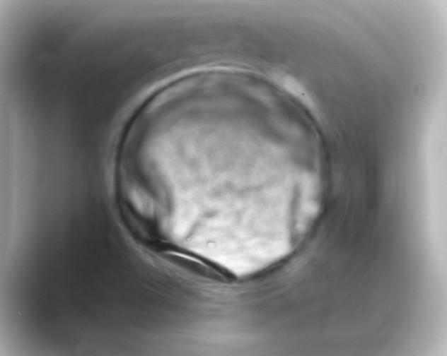 X0000088721504200706212011