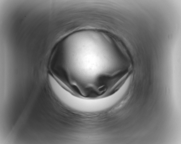 X0000088721505200706212011