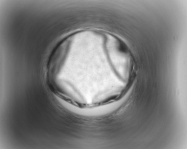 X0000088721507200706212011