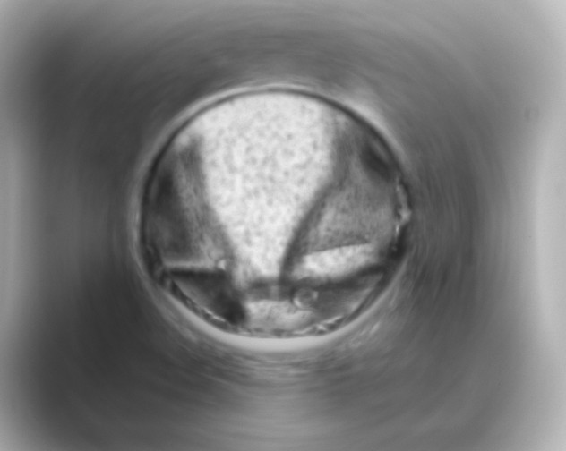 X0000088721508200706212011