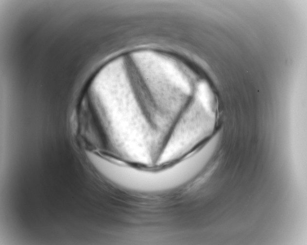 X0000088721509200706212011