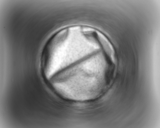 X0000088721511200706212011