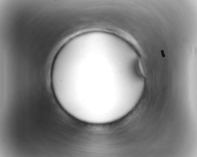 X0000088721512200706212011