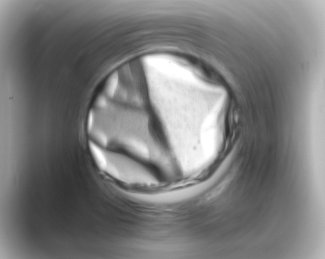 X0000088721513200706212011