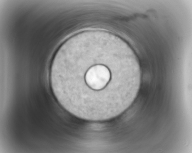 X0000088721514200706212011