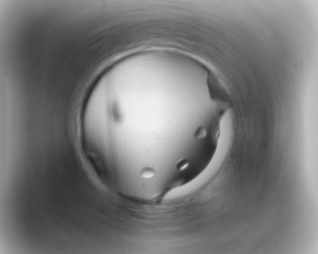 X0000088721515200706212011