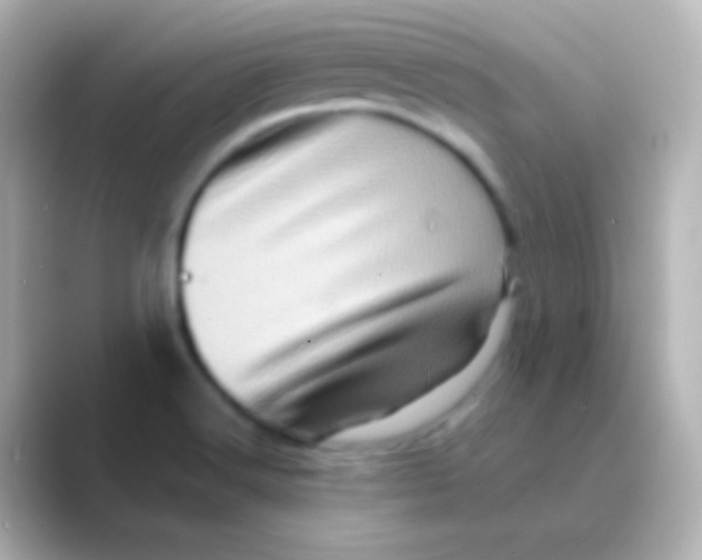 X0000088721516200706212011