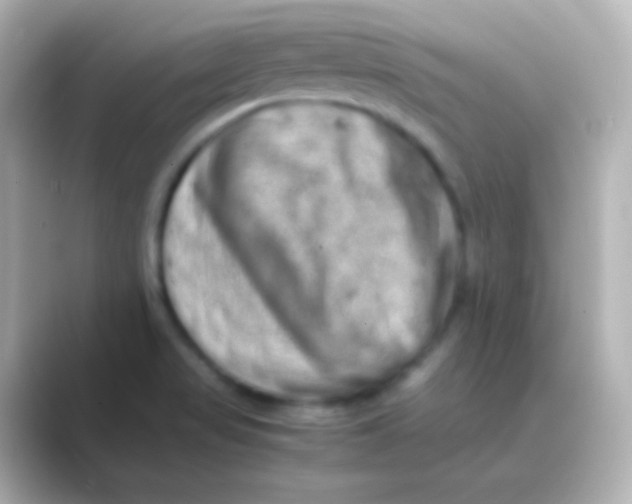 X0000088721517200706212011