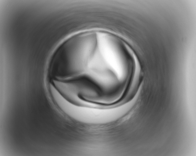 X0000088721518200706212011