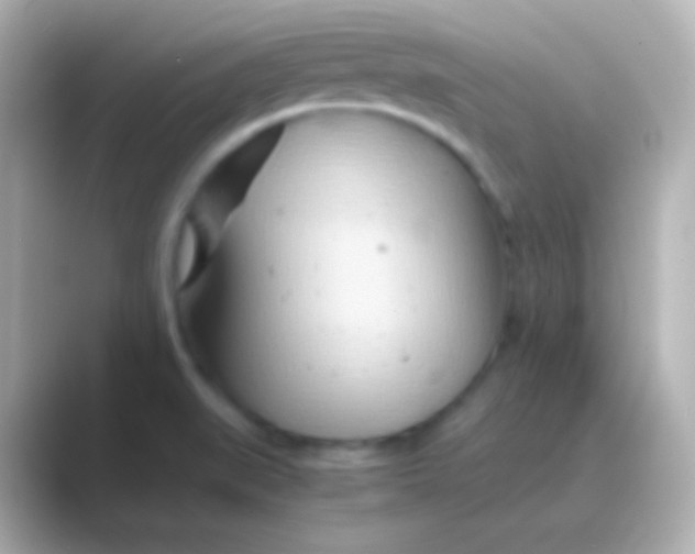 X0000088721519200706212011