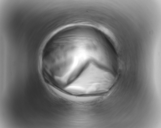 X0000088721520200706212011