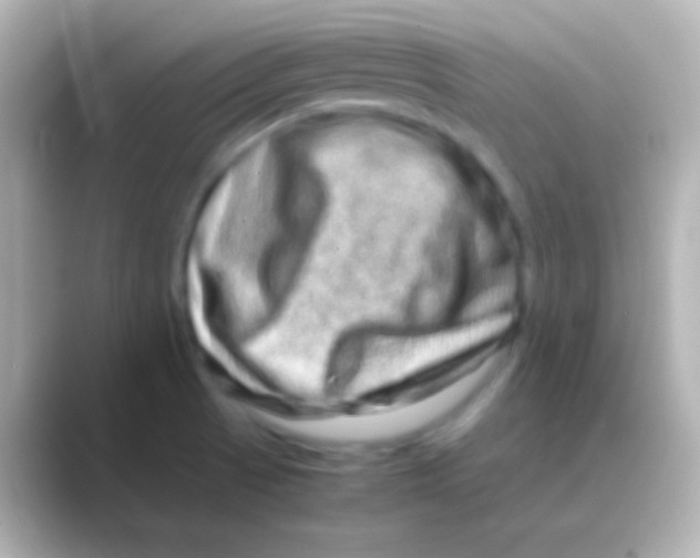 X0000088721521200706212011