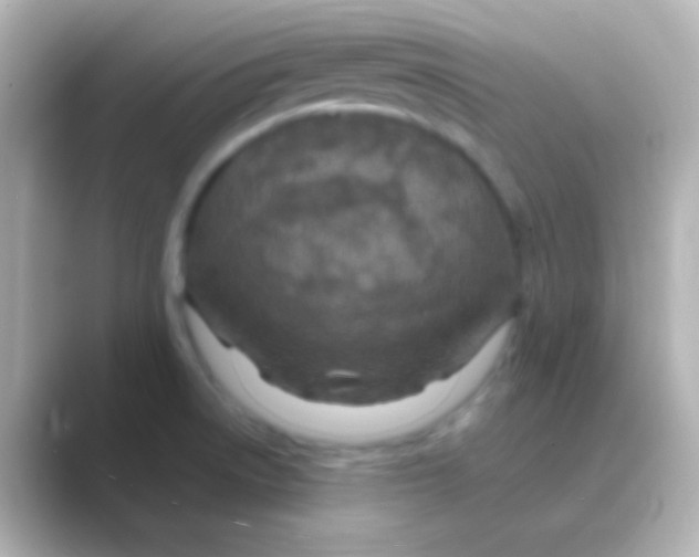 X0000088721522200706212011