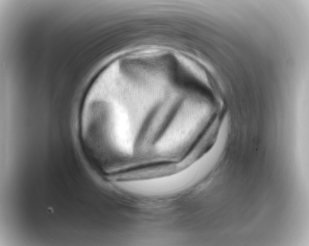 X0000088721523200706212011